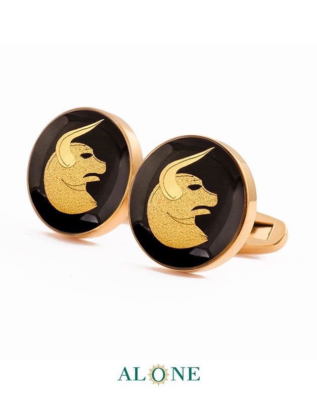 دکمه سردست گرد انیکس اردیبهشت - Image 2