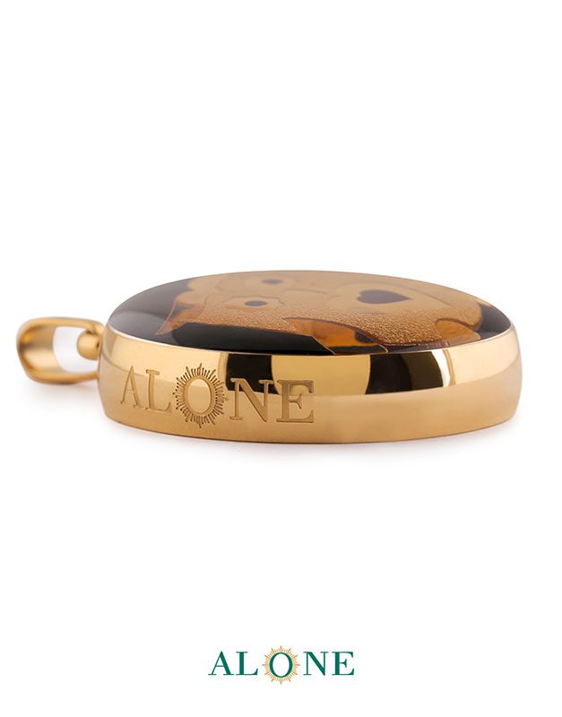 آویز بزرگ گرد تایگر رنگی جغد - Image 3