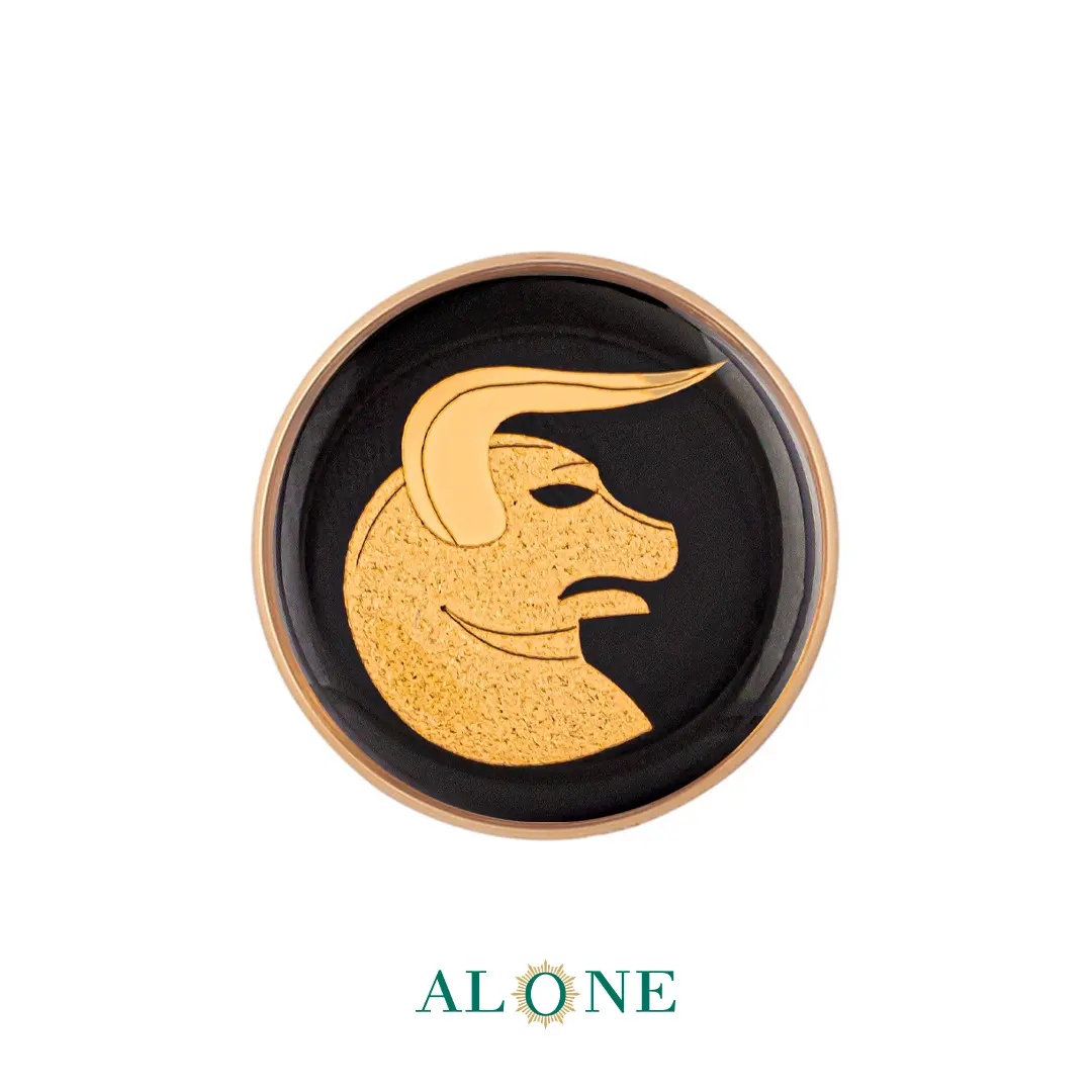 پلاک دستبند چرم زنانه گرد سایز 20 انیکس اردیبهشت