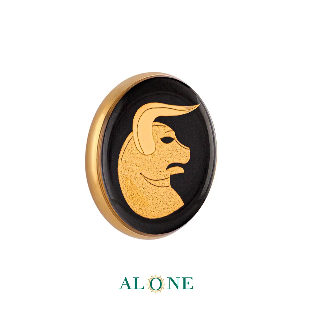 پلاک دستبند چرم زنانه گرد سایز 20 انیکس اردیبهشت - Image 2