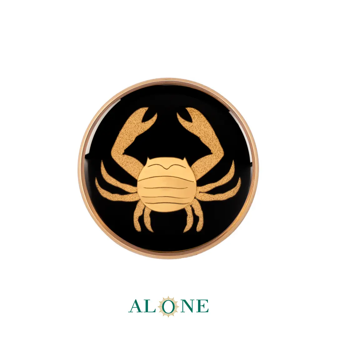 پلاک دستبند چرم زنانه گرد سایز 20 انیکس تیر