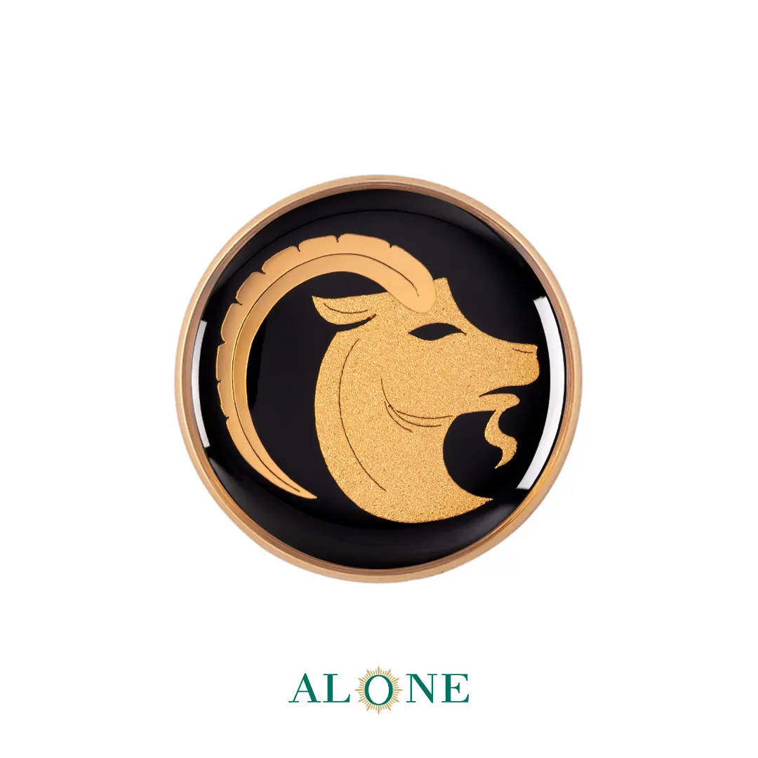 پلاک دستبند چرم زنانه گرد سایز 20 انیکس دی