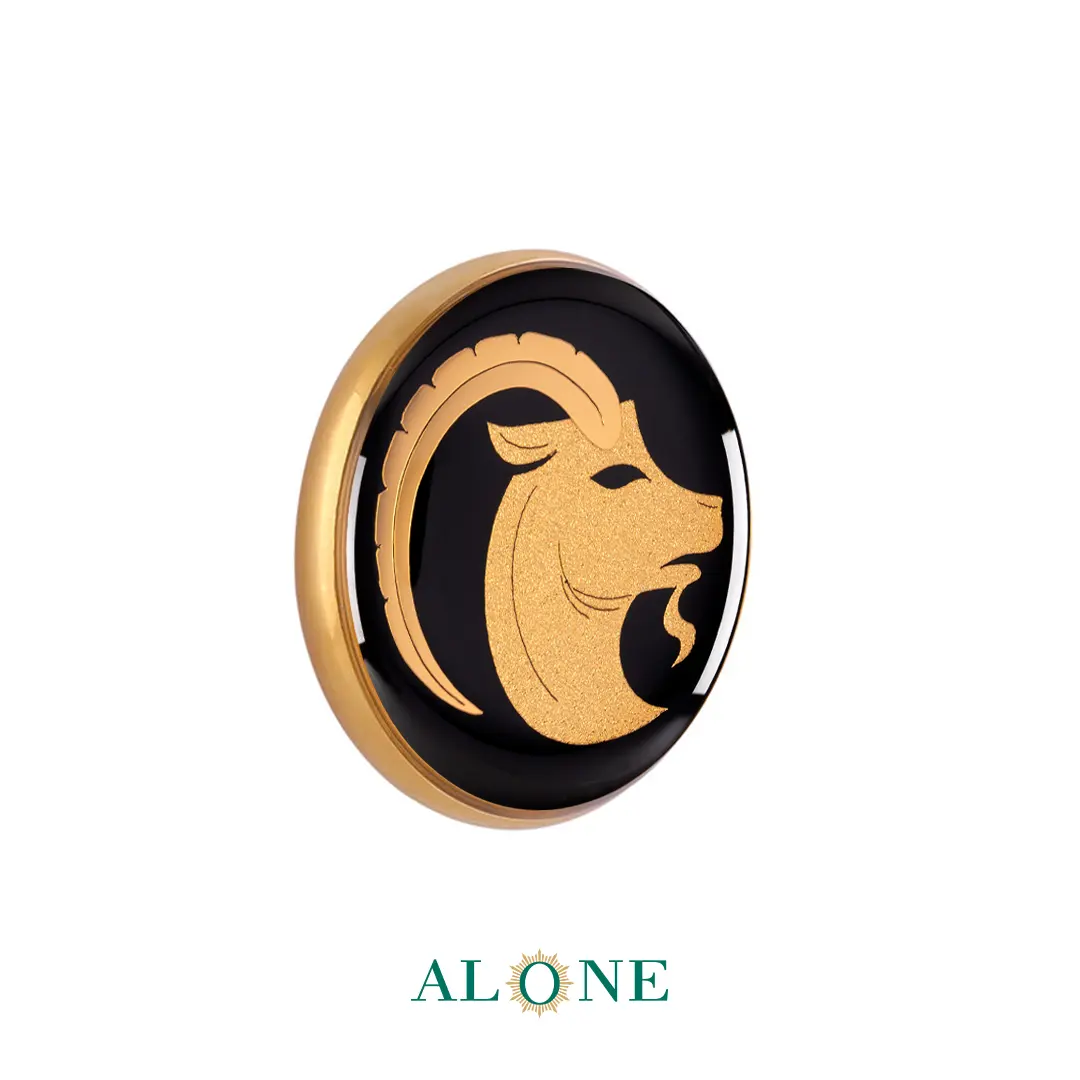 پلاک دستبند چرم زنانه گرد سایز 20 انیکس دی - Image 2