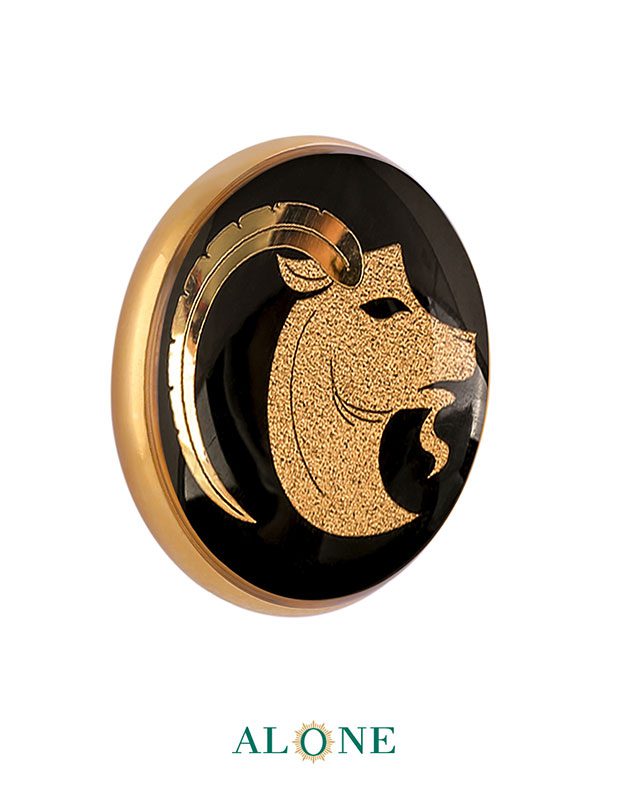 پلاک گرد سایز 20 انیکس دی