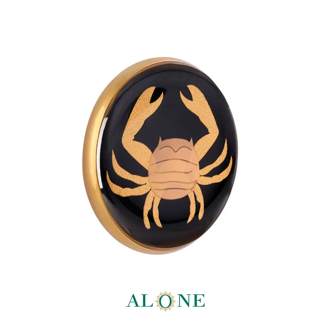 پلاک دستبند چرم مردانه گرد سایز 25 انیکس تیر - Image 2