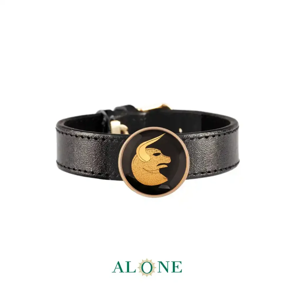 دستبند چرم گرد انیکس اردیبهشت