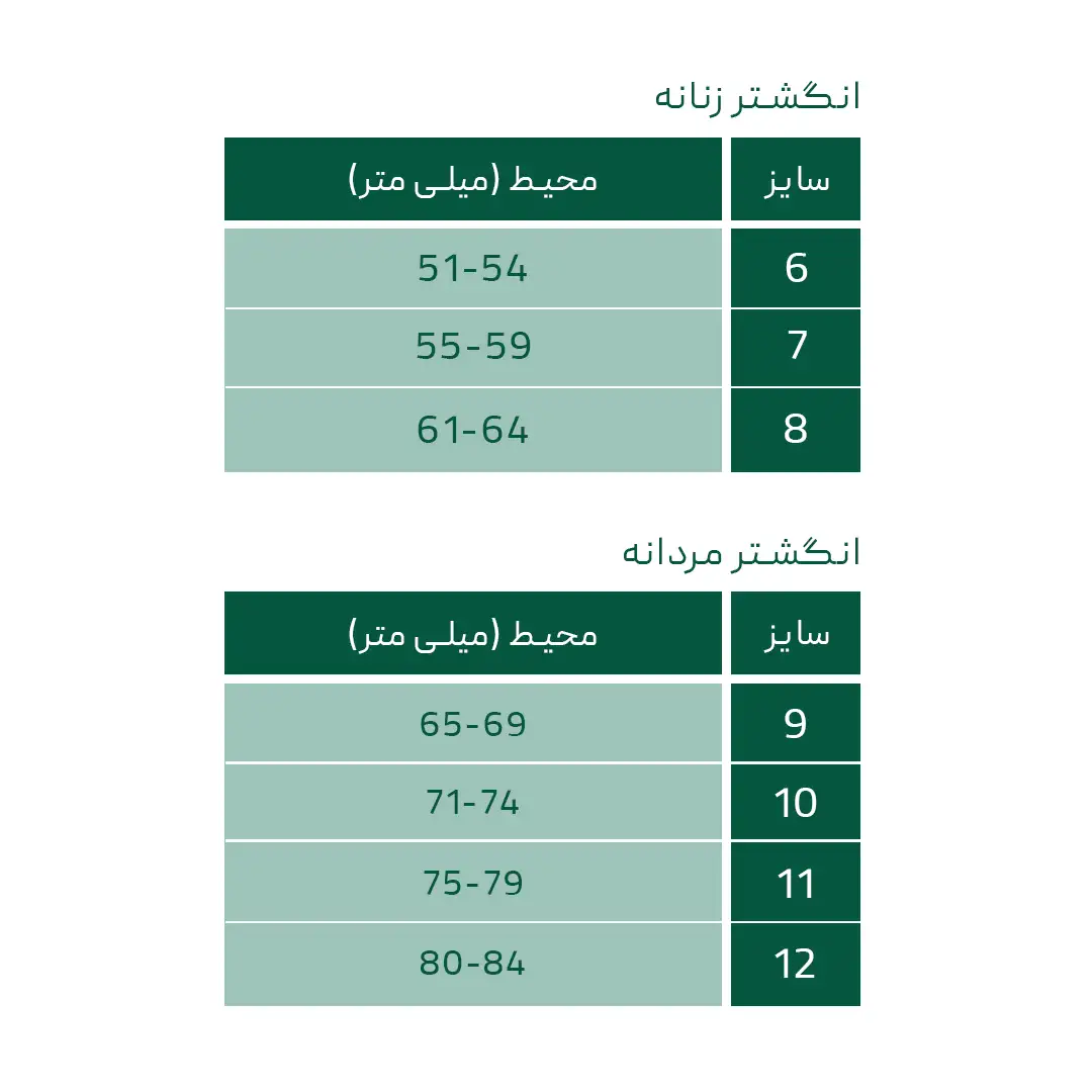 انگشتر نقره انیکس یزدان